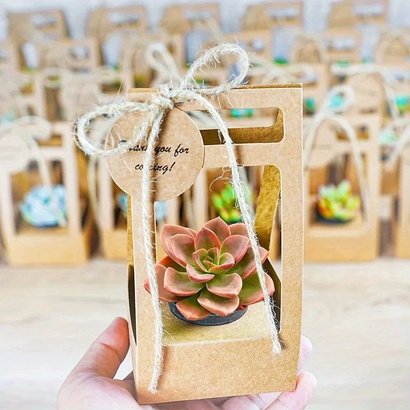 Flower Wrap Kraft - 10Set Succulent Wrap Gift Bags with