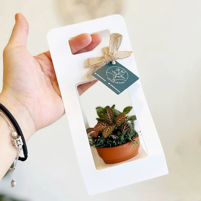 10Set Succulent Wrap Gift Bags - Flower Wrap Kraft review and price
